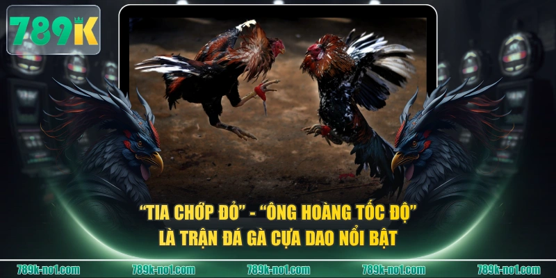 “Tia Chớp Đỏ” - “Ông Hoàng Tốc Độ” là trận đá gà cựa dao nổi bật